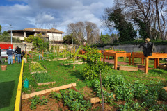 20260126_110642